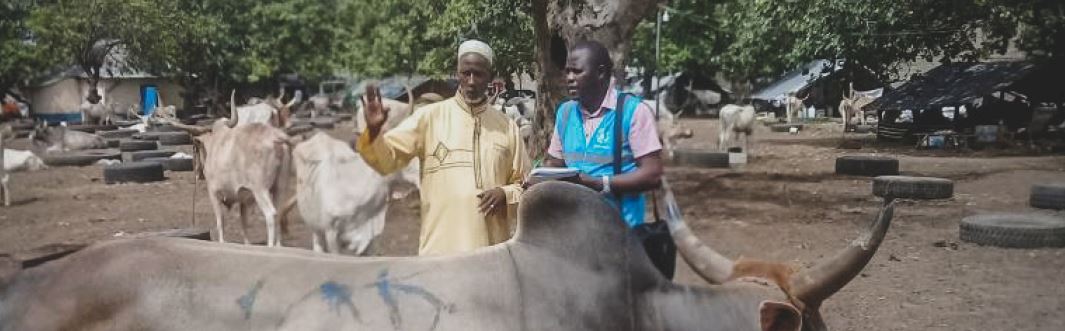 Qurbani: Interview With a Farmer in Senegal