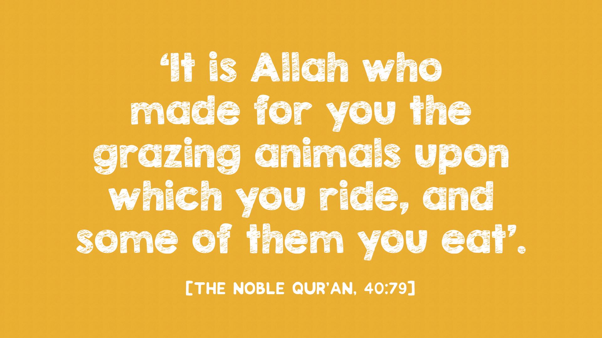 Animal Welfare in Islam: All Your Questions Answered | Muslim Hands UK