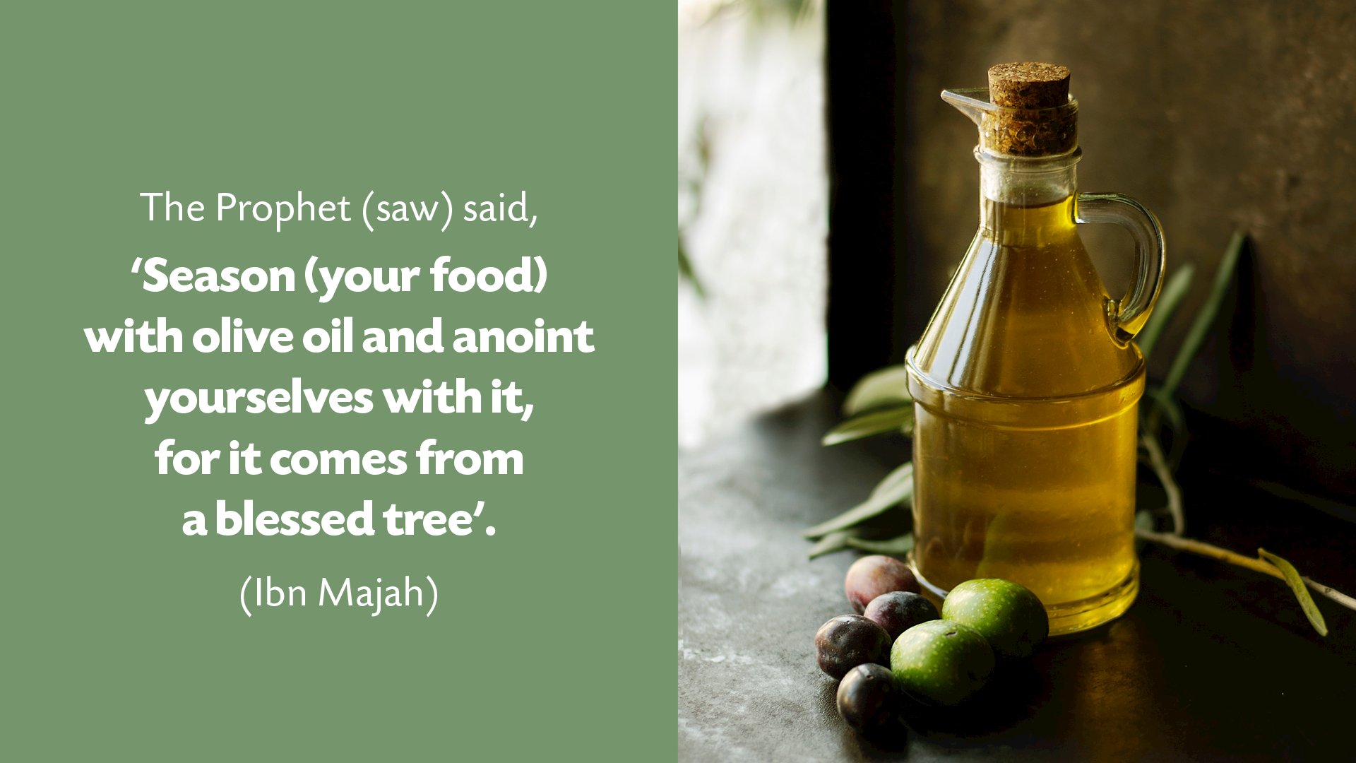 Benefits Of Olive Oil In Islam - health benefits