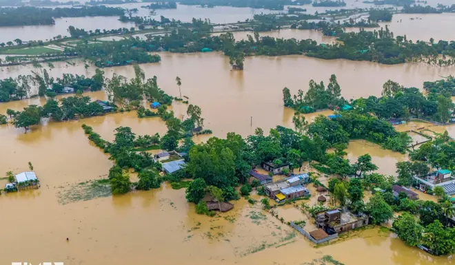 Aerial shot of a flooded village in Bangladesh showing just tree tops and the tops of buildings. 
