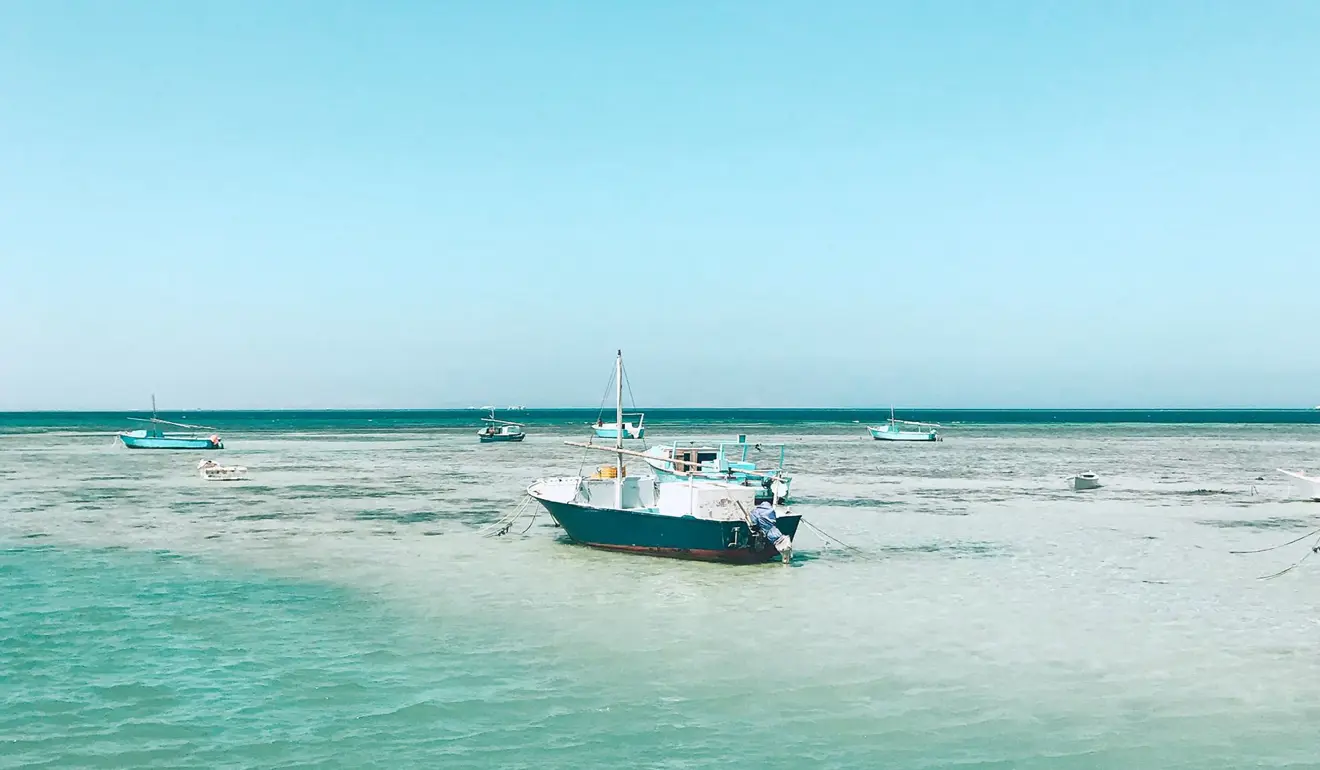 An image of the shore of the Red Sea