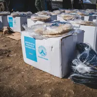 Our Winter Food Packs contain enough food to last a family for a month