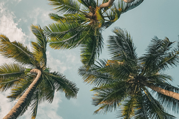 Life of Maryam: 5 Lessons on Trusting Allah