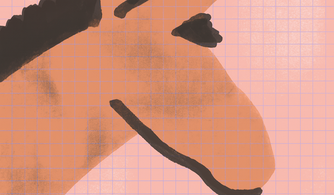 An illustration of the Prophet's foster mother Halimah's donkey