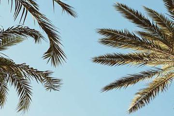 8 Facts About Prophet 'Isa (as)