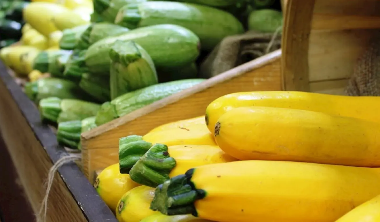 Piles of various types of squash in a supermarket.