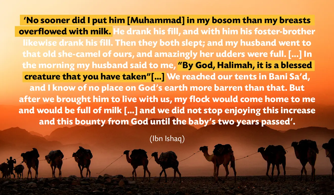 Halimah, the Prophet's nursing mothe, describes the abundance he brought to her and her animals